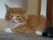 Enjoy p�i odpo�inku.